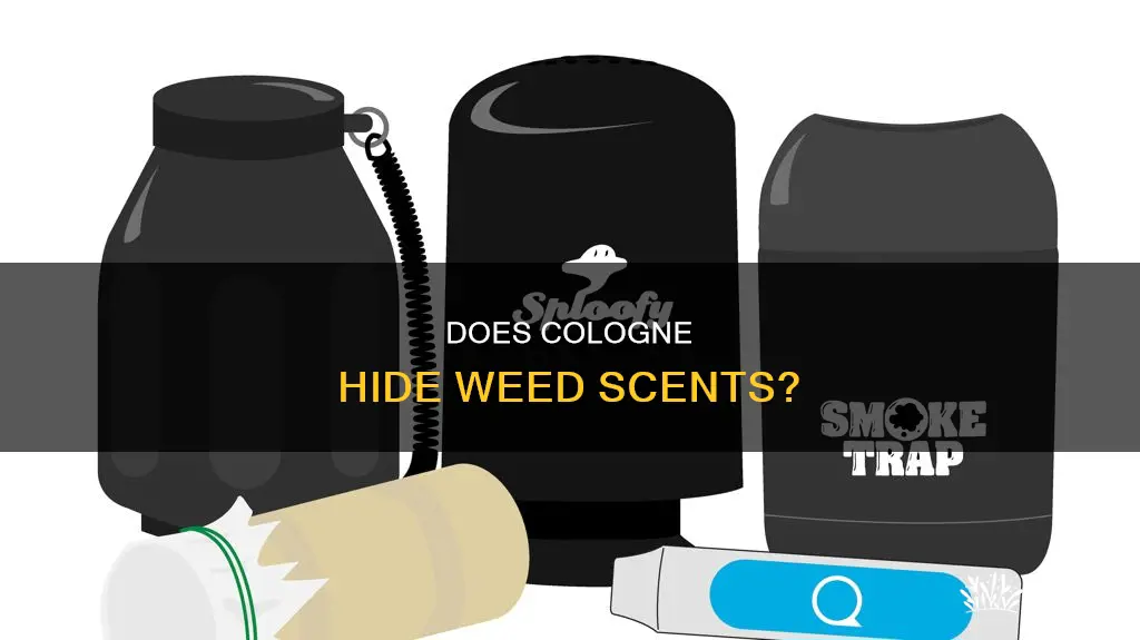 will cologne mask the smell of weed