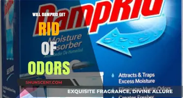 Eliminate Stubborn Odors: The Power of DampRid Explained