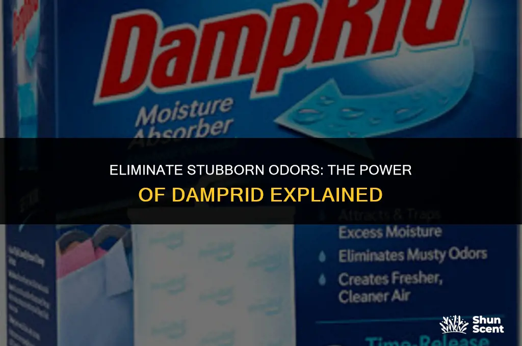 will damprid get rid of odors