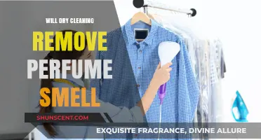 Dry Cleaning: Can It Remove Perfume Odor?