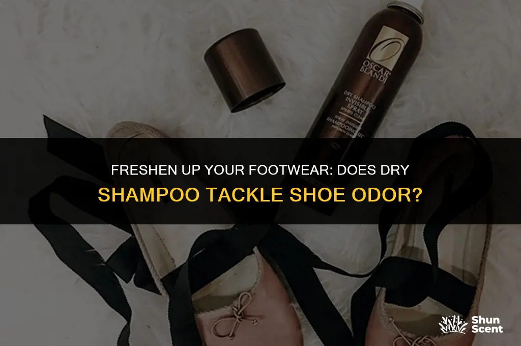 will dry shampoo get rid of shoe odor