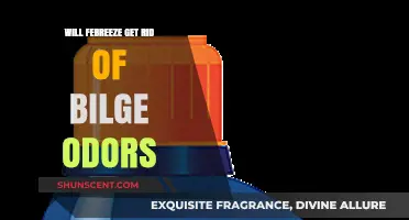 Banishing Bilge Odors: Does Febreze Really Work?