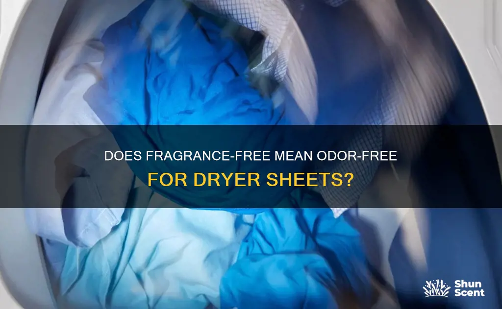 will fragrance free dryer sheets get out smelly