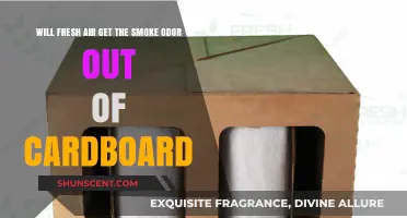 Fresh Air vs. Smoke Odor: Can It Really Get Rid of That Lingering Smell in Cardboard?