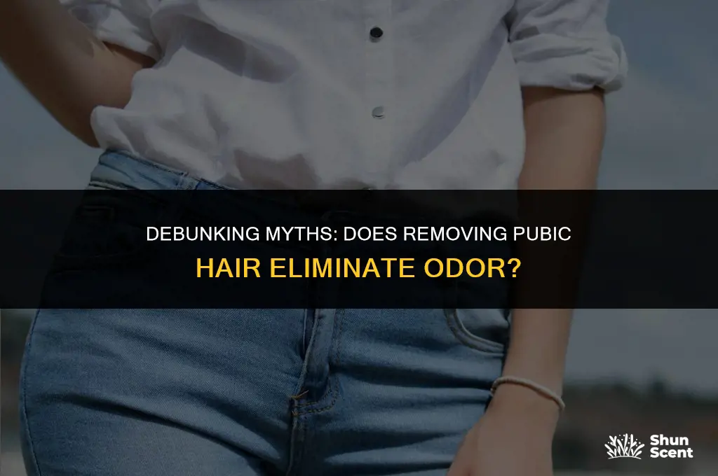 will getting rid of oublic hair get rid of odor