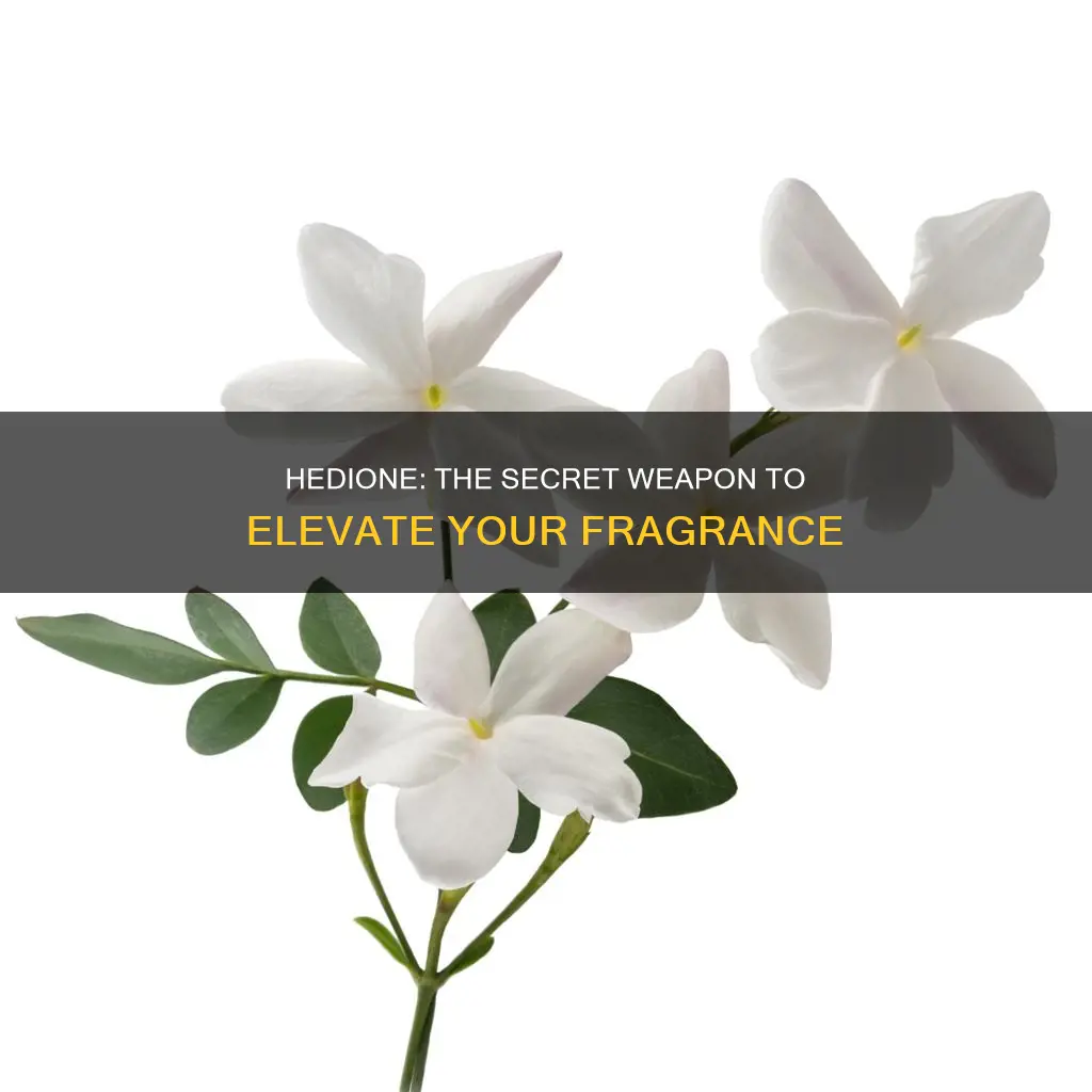 will hedione give lift to a fragrance