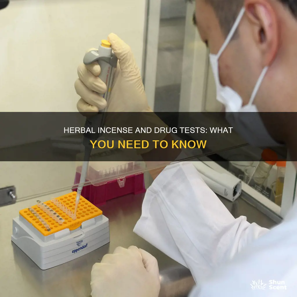 will herbal incense show on a drug test