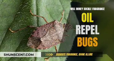 Honeysuckle Oil: Bug Repellent or Attractant?