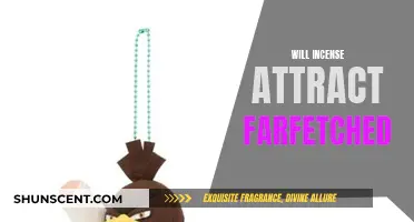 Incense Scents Farfetch'd: Attracting Pokemon with Fragrance
