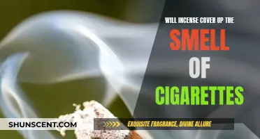 Incense vs. Cigarette Odor: Can Incense Mask It?