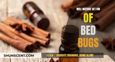 Incense for Bed Bugs: Effective or Just a Myth?
