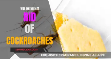 Incense: An Effective Cockroach Repellent?