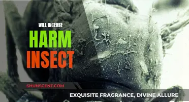 Incense and Insects: What's the Harm?