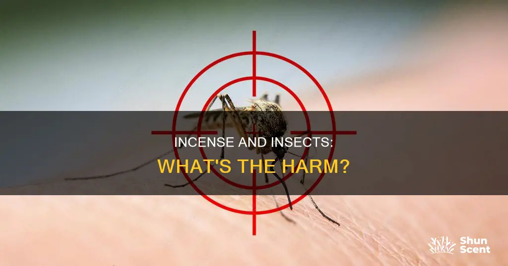 will incense harm insect