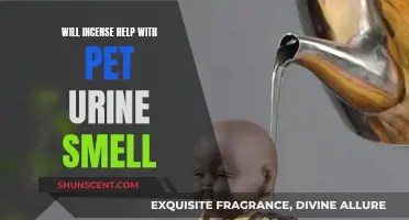 Incense and Pet Urine: A Fresh-Smelling Home Solution?