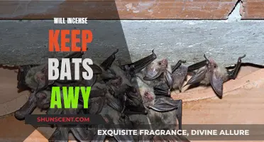 Incense: Effective Bat Repellent or Useless?
