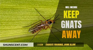 Incense as a Natural Gnat Repellent: Does it Work?