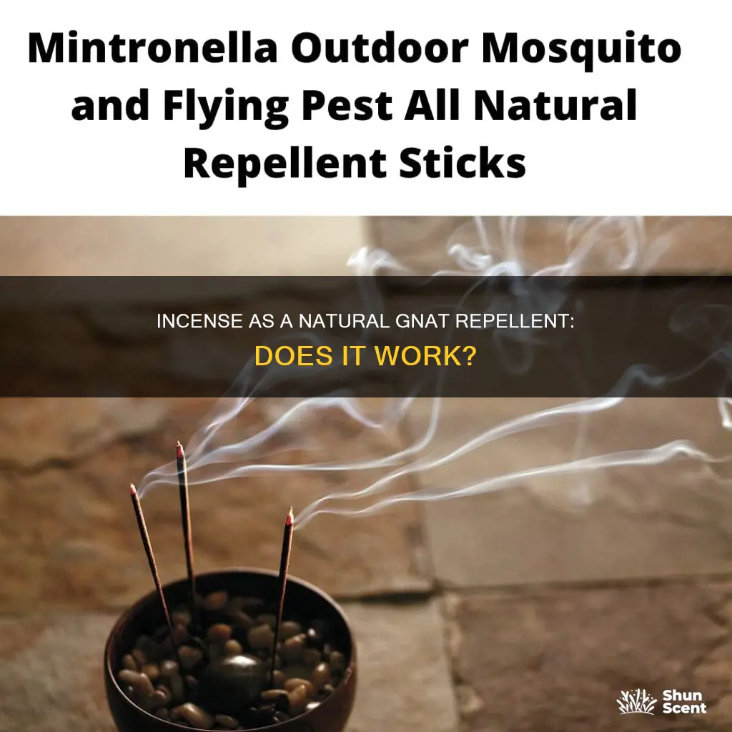 will incense keep gnats away