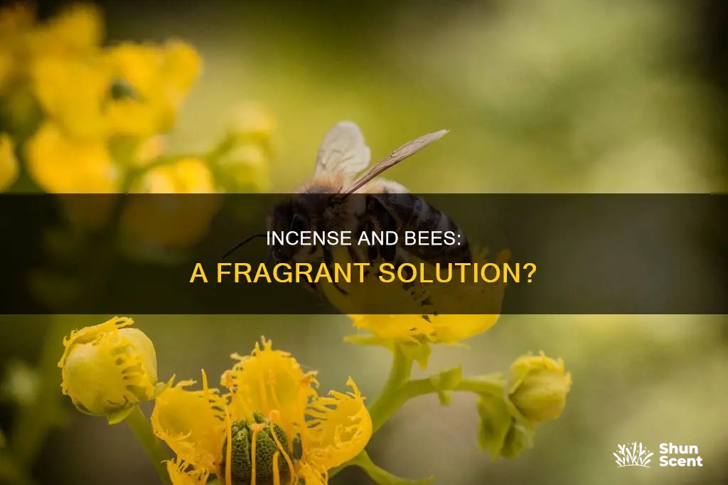 will incense keep honey bees away