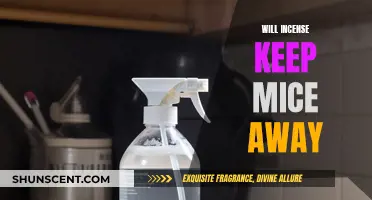 Incense to Repel Mice: Does it Work?