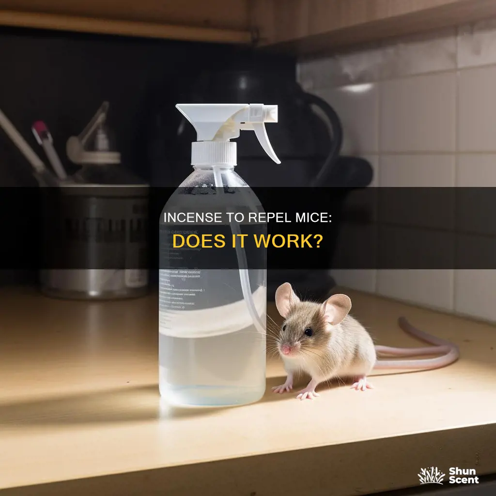 will incense keep mice away