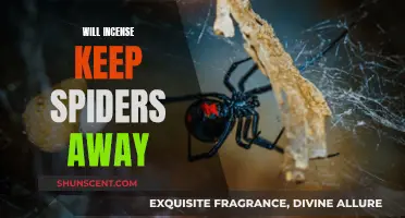Incense to Repel Spiders: Does it Work?