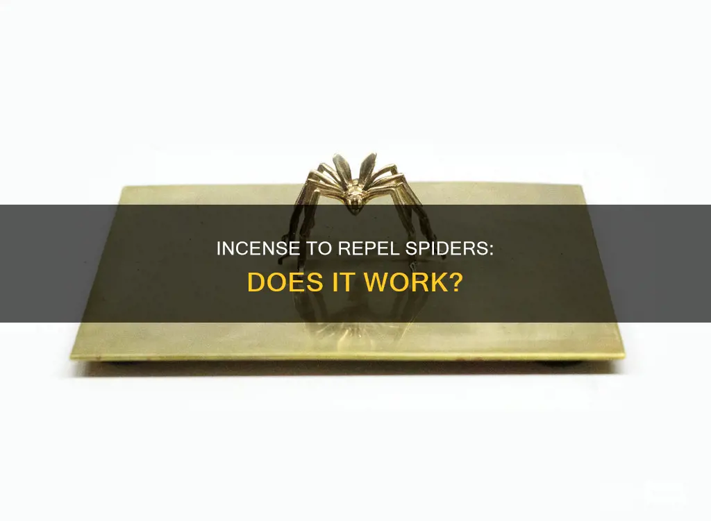 will incense keep spiders away