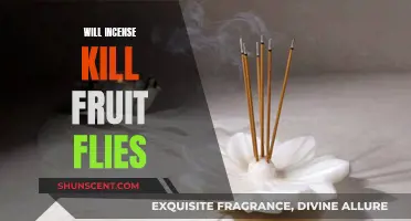 Incense as a Fruit Fly Repellent: Does it Work?