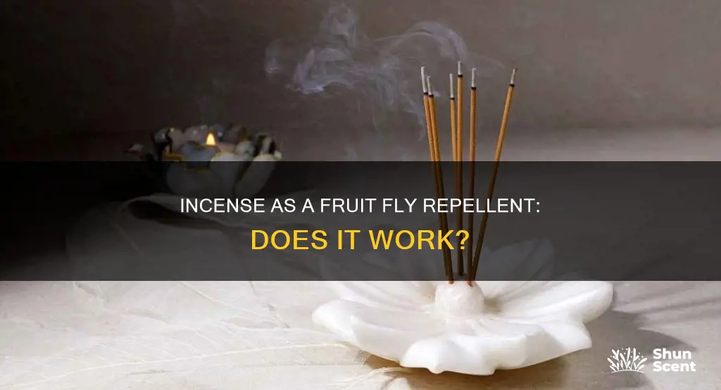 will incense kill fruit flies