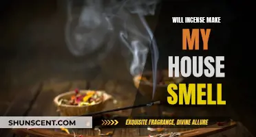 Incense Scents: How to Make Your House Smell Amazing