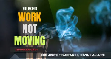 Incense and Movement: Does Stillness Affect Fragrance?
