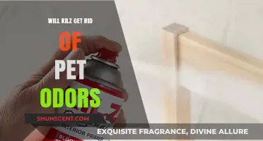 Eliminating Pet Odors: The Kilz Solution Explained