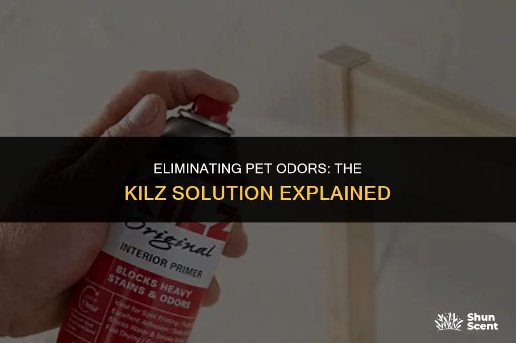 will kilz get rid of pet odors