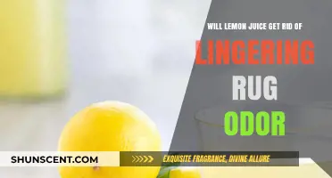 Freshen Up Your Space: Lemon Juice's Surprising Odor-Busting Powers