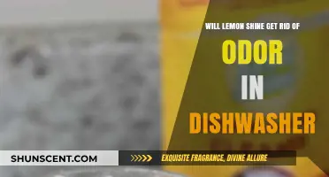 Freshen Your Dishwasher: The Lemon Shine Odor-Busting Myth