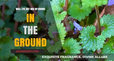 Effective Odor Elimination: The Power of Lye in Ground Treatment