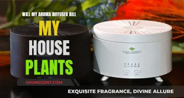 Aroma Diffusers: Friend or Foe of House Plants?