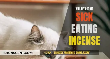 Incense Ingestion: Pet Health Risks and Side Effects