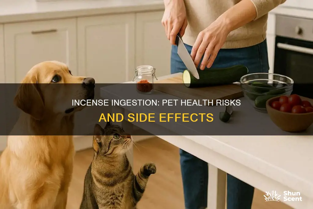 will my pet get sick eating incense