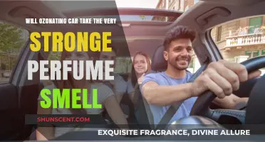 Ozonating Your Car: Can it Remove Strong Perfume Scents?