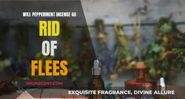 Peppermint Incense: Natural Flea Repellent?