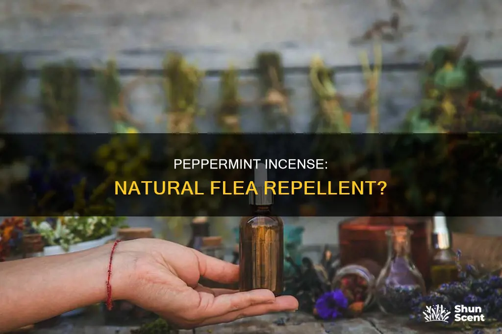 will pepperment incense go rid of flees