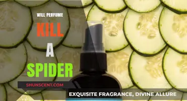 Spray Spiders with Perfume? Here's What Happens