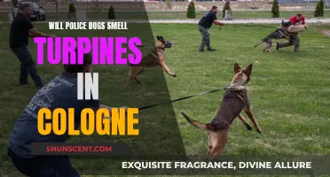 Police Dogs and Cologne: Can They Smell Turpentine?