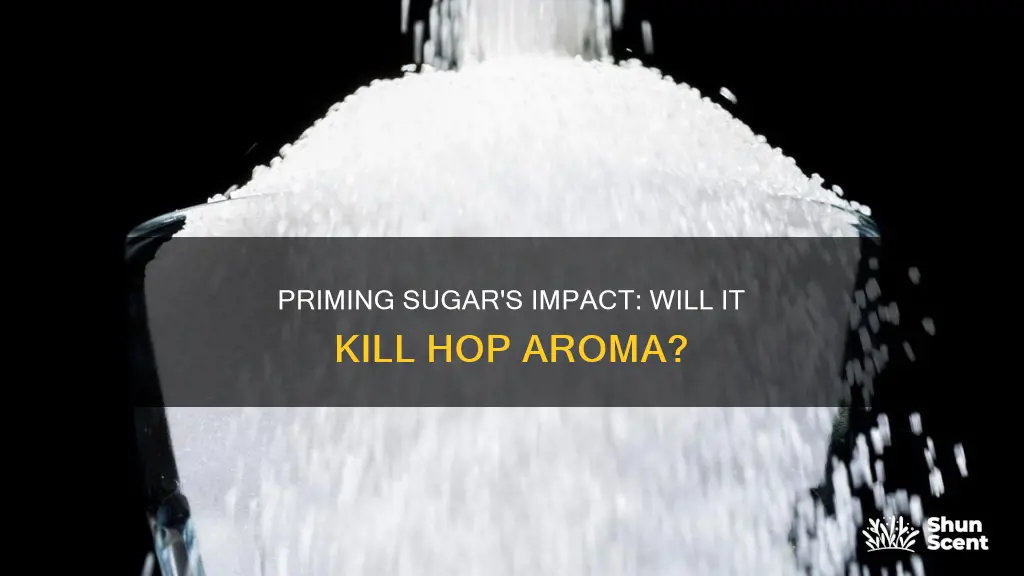 will priming sugar kill hop aroma