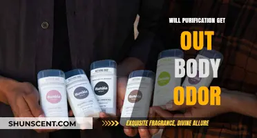 Natural Body Odor Remedies: Does Purification Really Work?