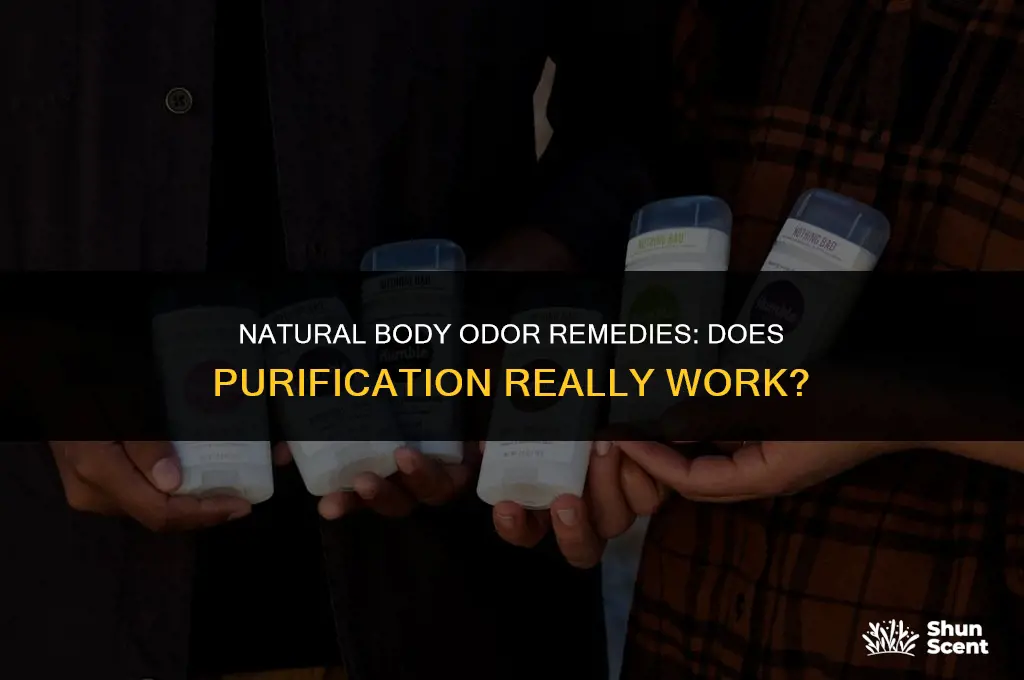 will purification get out body odor