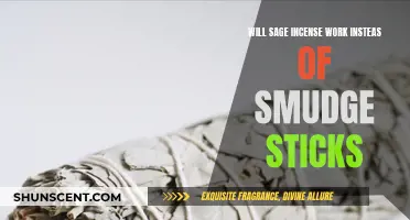Sage Incense vs Smudge Sticks: What's the Difference?