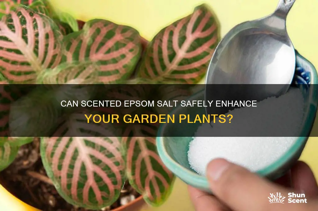 will scented epsom salt hurt plants