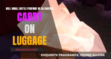 Traveling with Perfume: Carry-On Rules